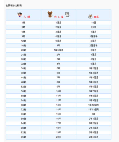 仓鼠什么时候生国内代孕宝宝