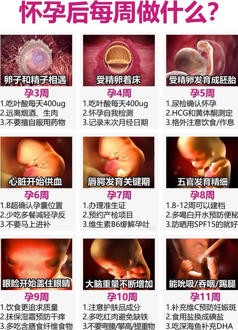 第三代代孕宝宝什么时候加盐